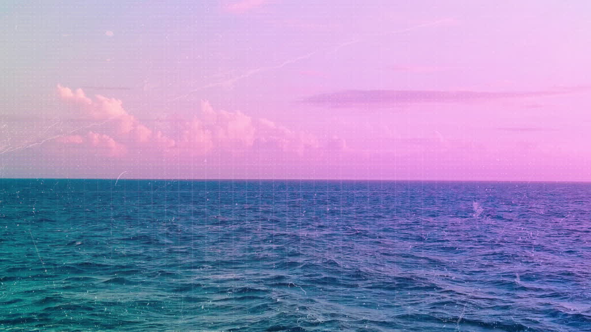 Summer Ocean 8