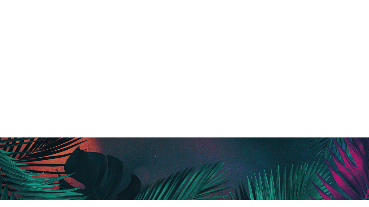 Vibrant Palms Lower Third 1