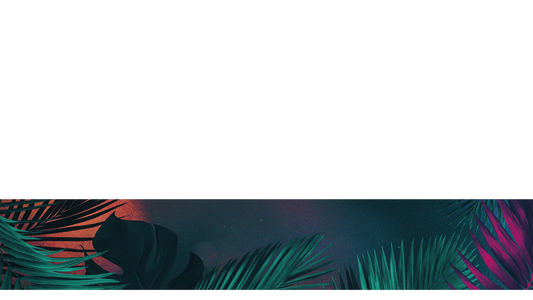 Vibrant Palms Lower Third 1