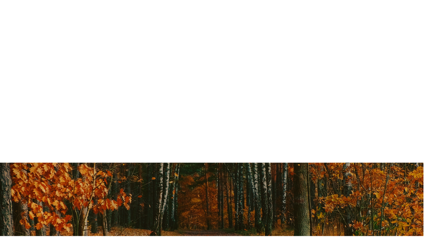 Autumn Colors Lower Third 3