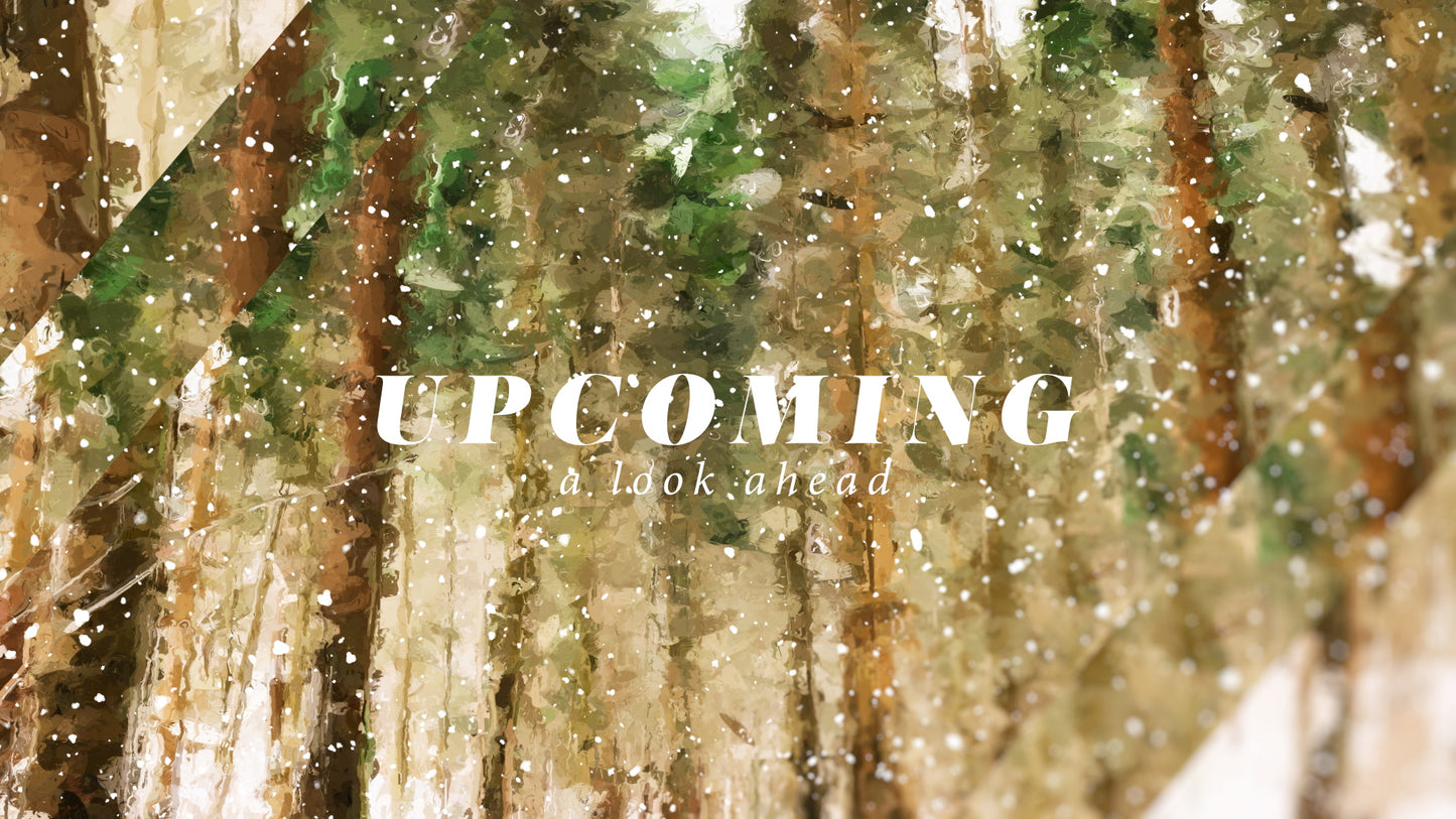 Let It Snow Upcoming