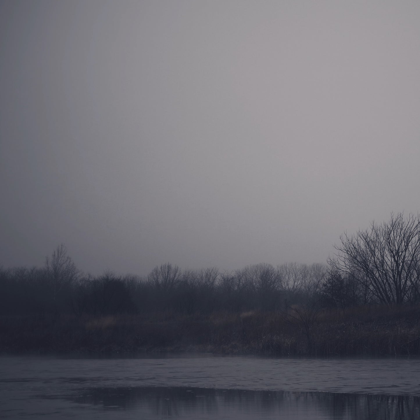 Reflections For Lent 1