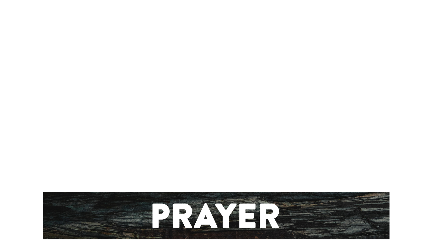 Winter Woods Lower Third Prayer