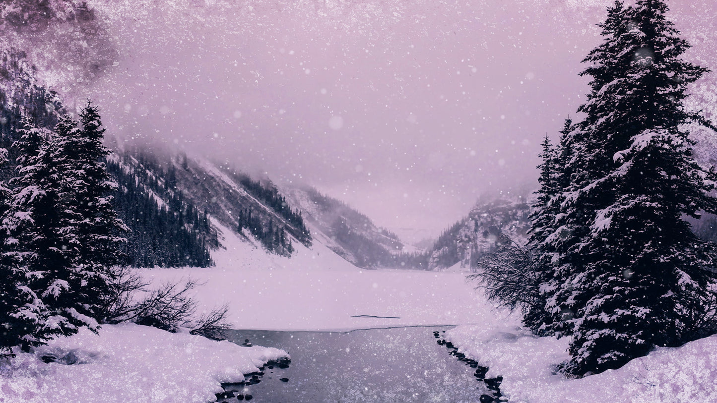 Christmas Cheer Frozen