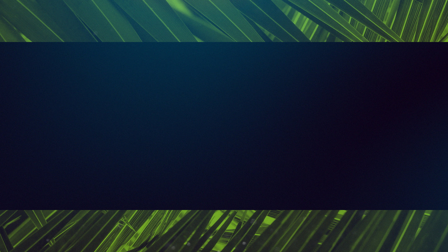 Palm Sunday Streaming 06 Still