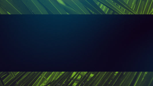 Palm Sunday Streaming 06 Still