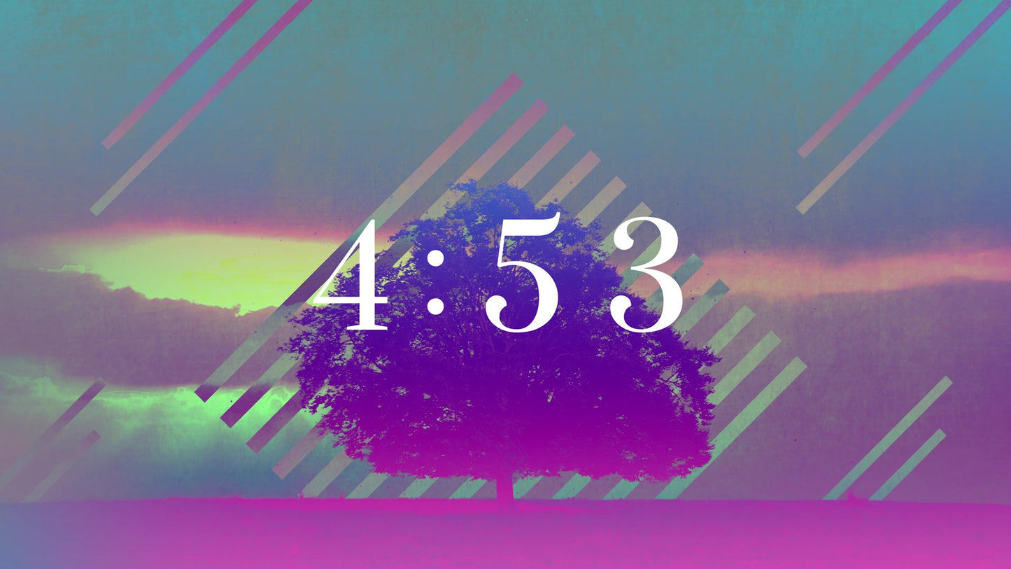 Lonely Tree 5-Minute Countdown