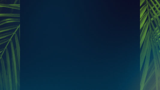 Palm Sunday Streaming 07 Still