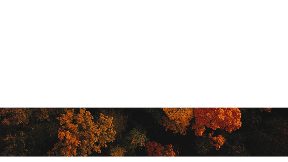 Autumn Foliage Lower Third 5