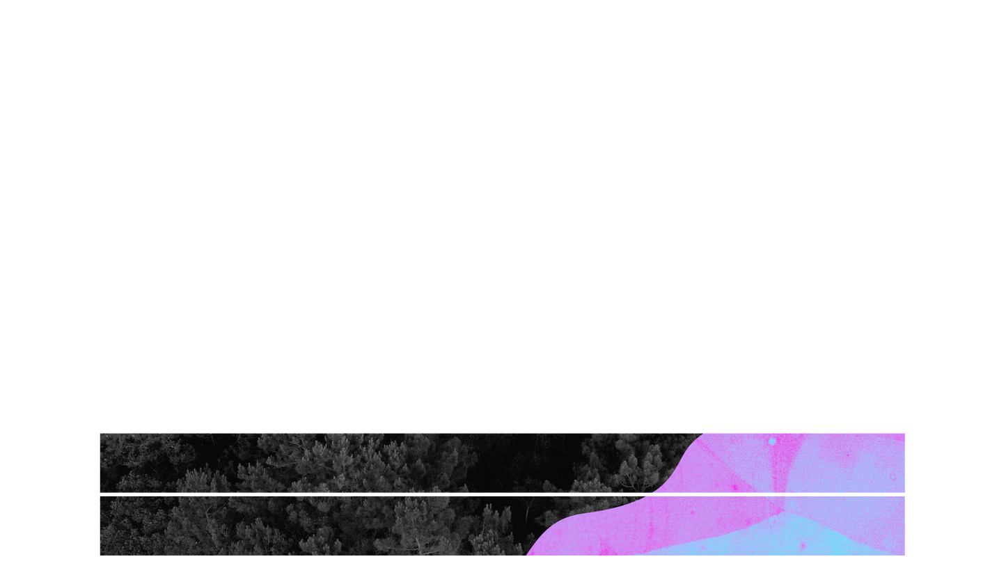 Vibrant Nature B Lower Third Blank 02