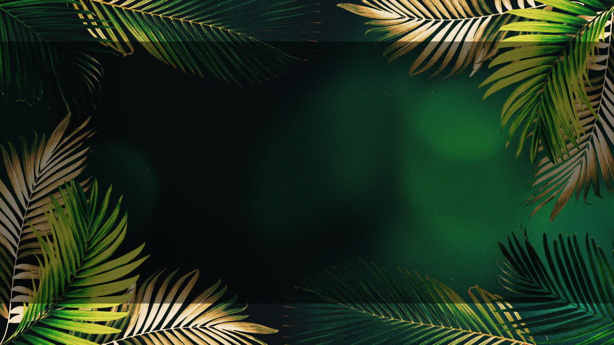 Vibrant Palms 7 Alt