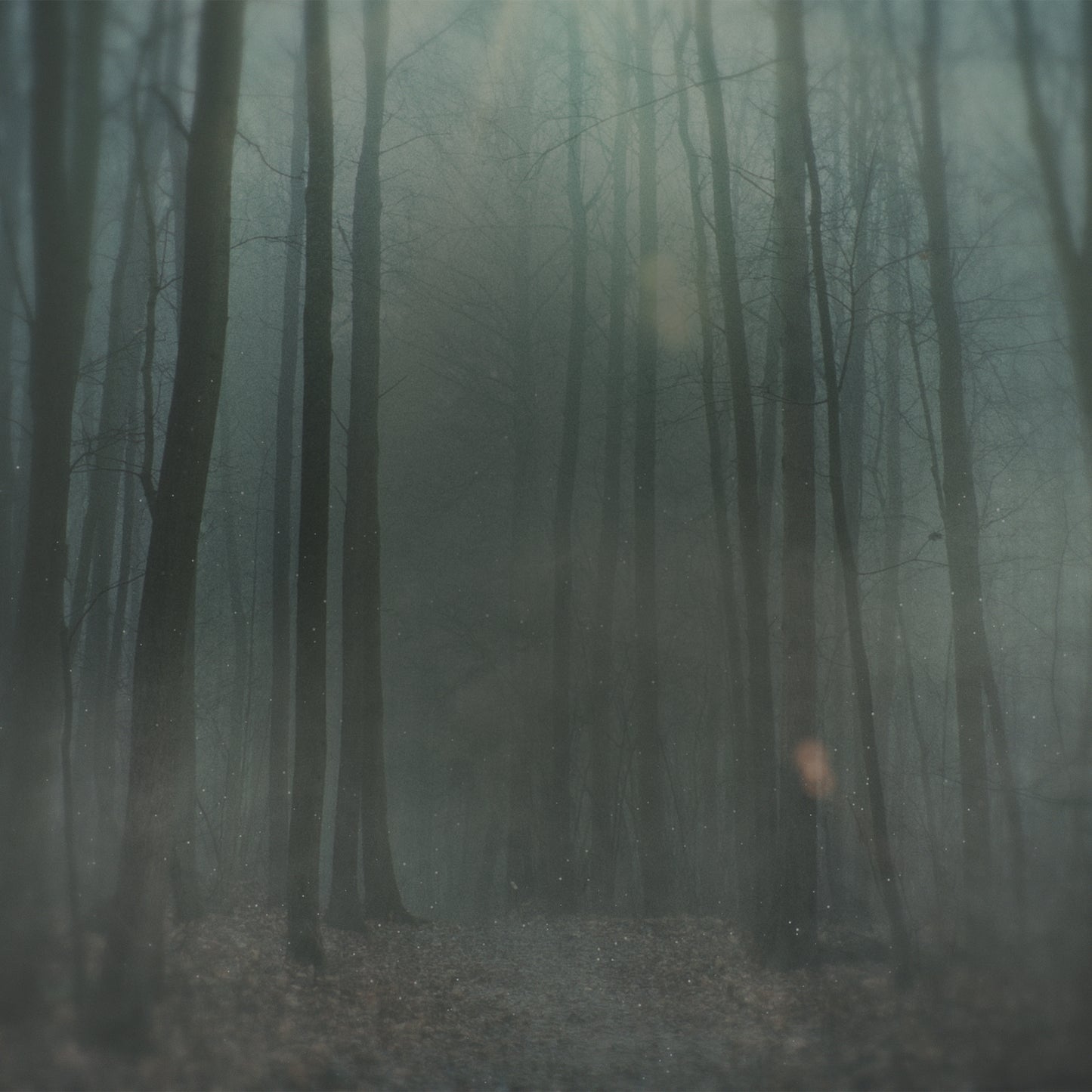 Into The Unknown