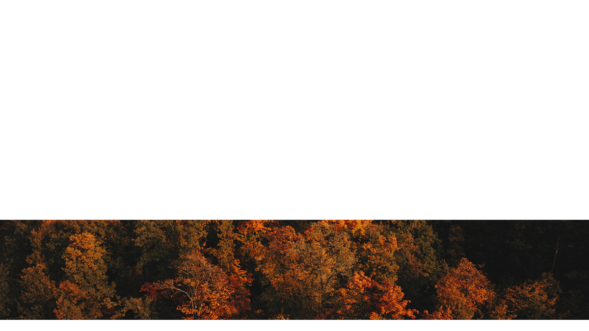 Autumn Foliage Lower Third 1