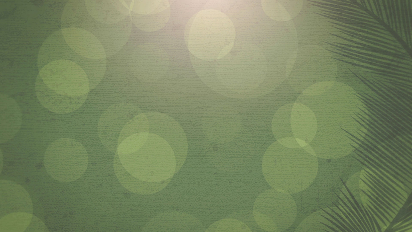 Palm Sunday Bokeh 03 Still