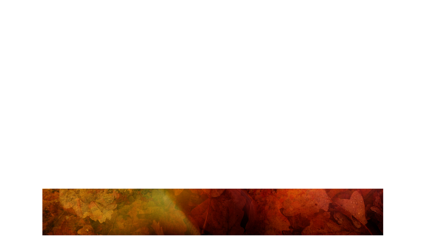 Subtle Fall Lower Third Full Blank