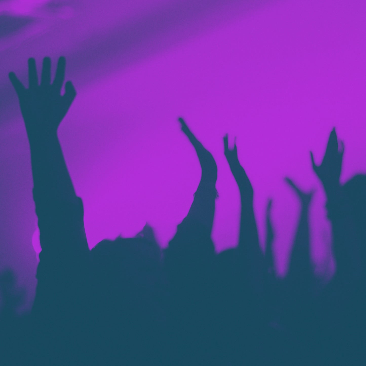 Praise The Lord Blank