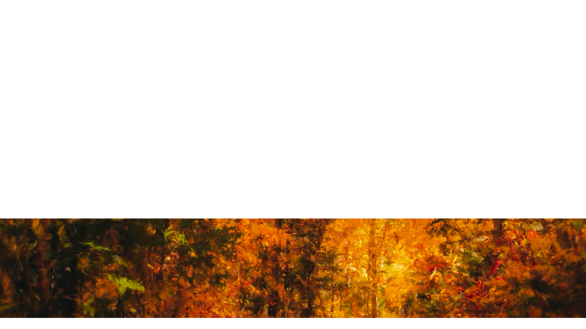 Autumn Vibes Lower Third 1