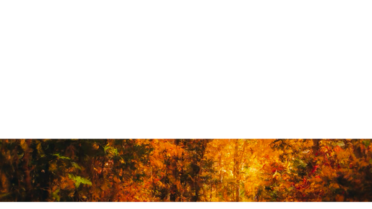 Autumn Vibes Lower Third 1