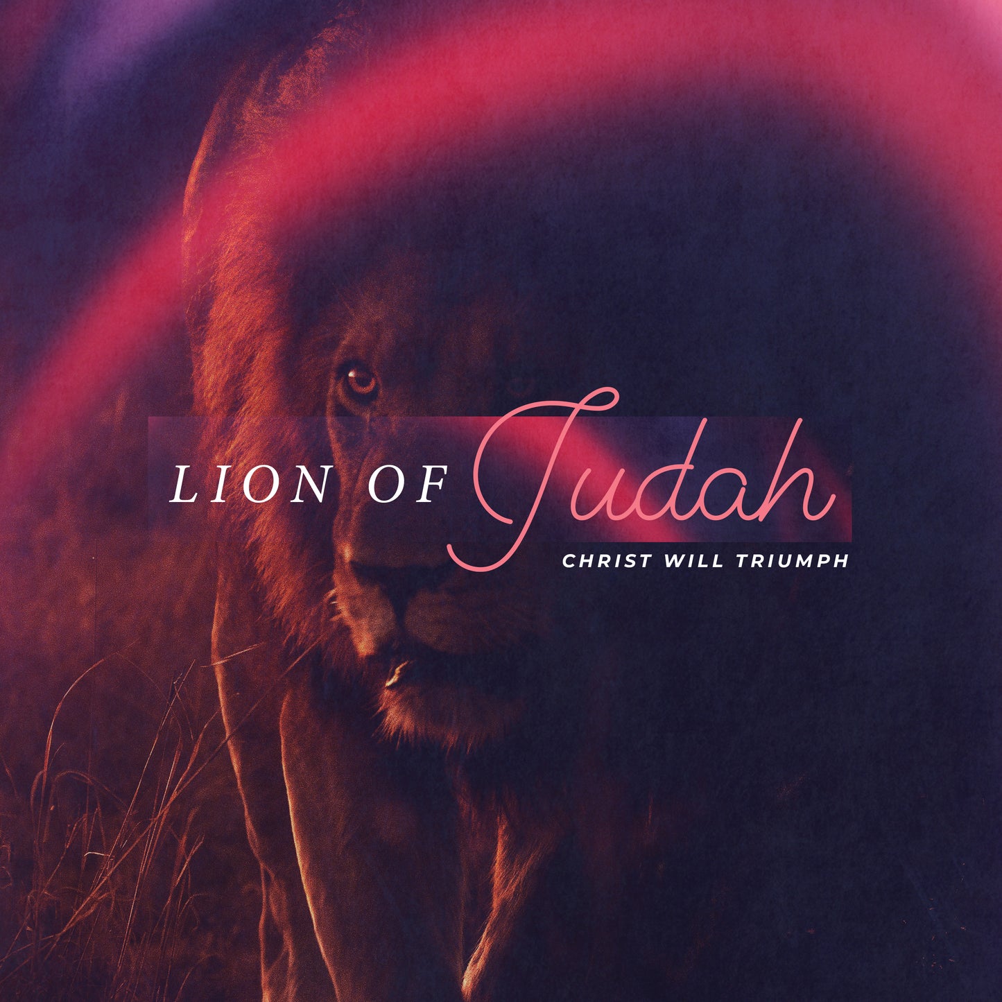 Lion Of Judah