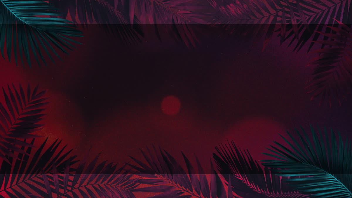 Vibrant Palms 4 Alt
