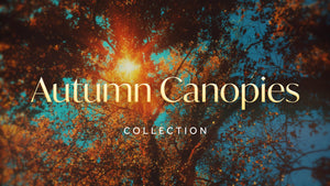 Autumn Canopies