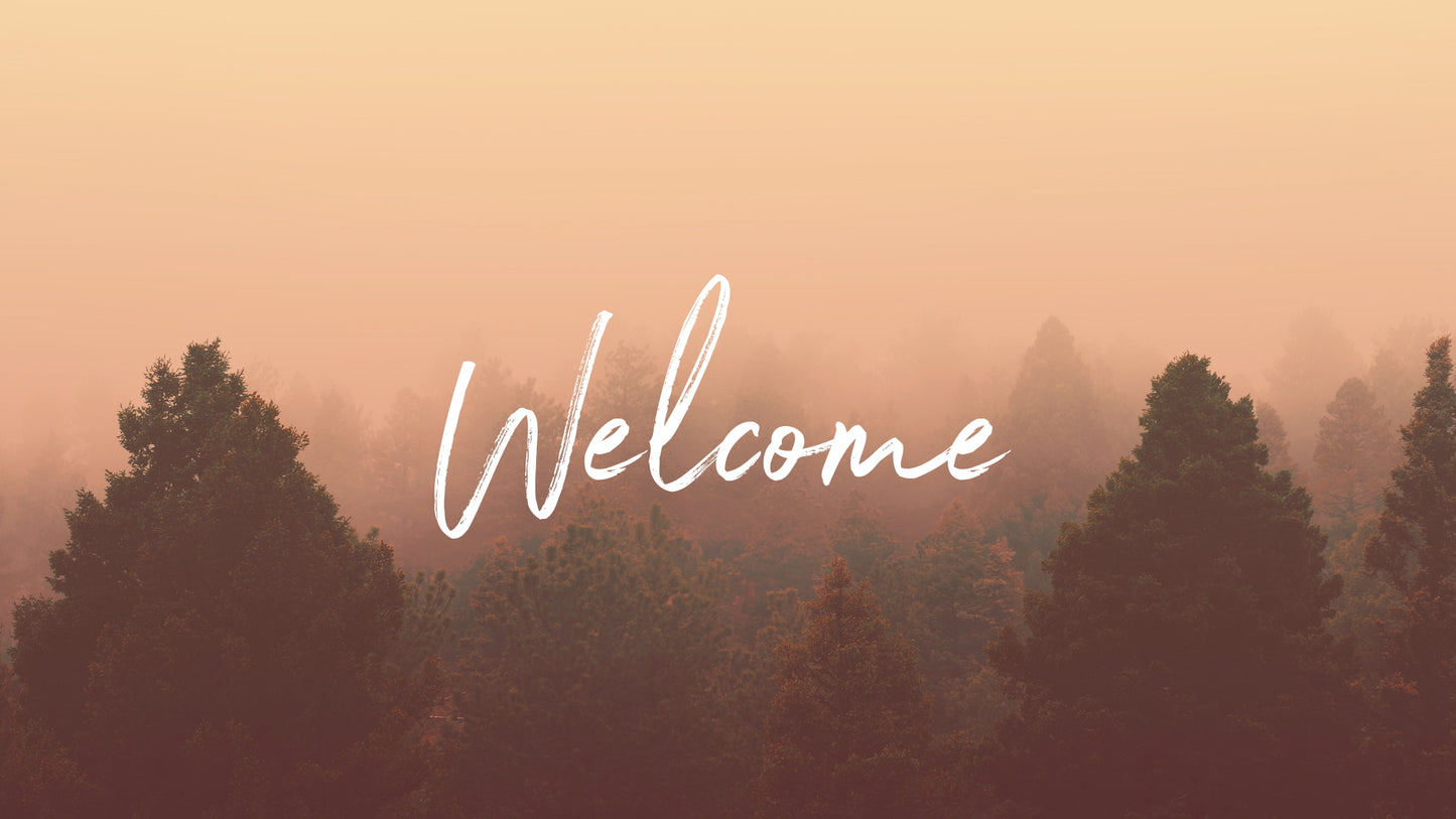 Misty Forest Welcome