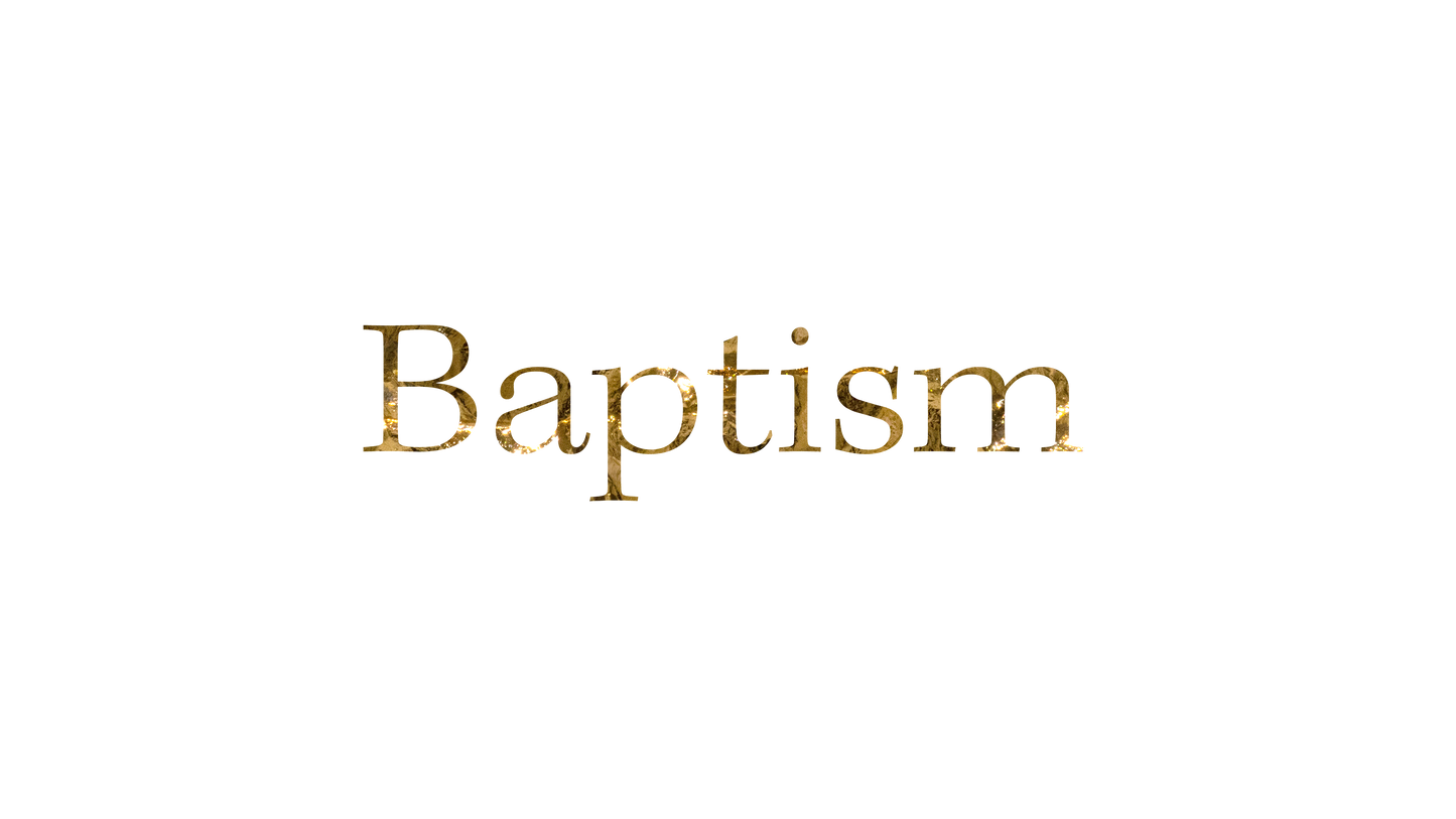 Nativity Manger Baptism