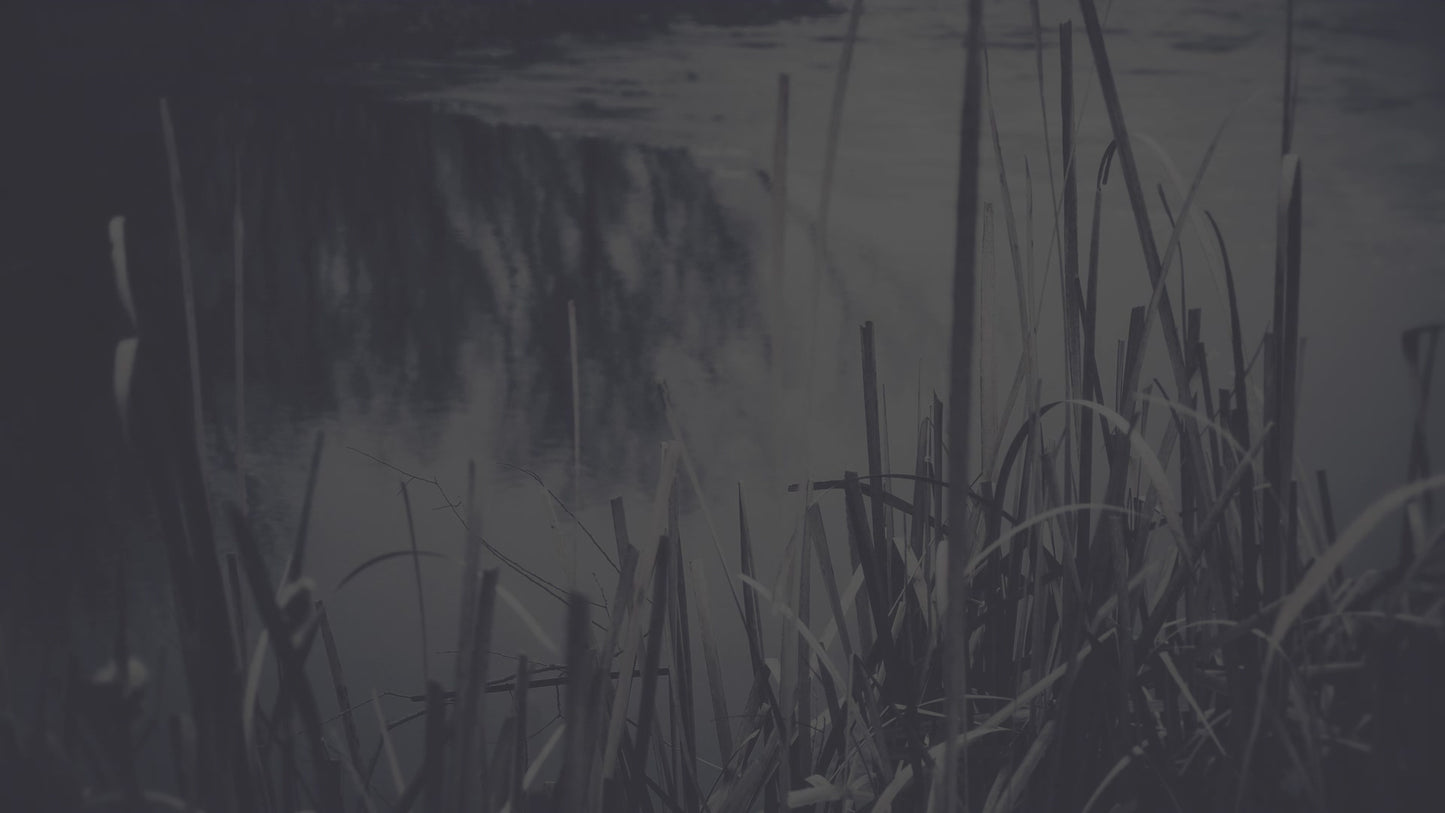 Bleak Beauty Water Edge Fade