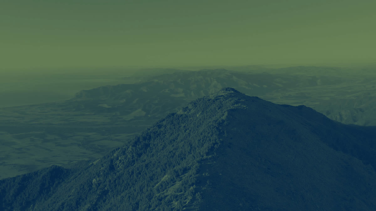 Kiakoura 5 Alt
