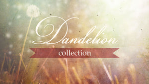 Dandelion