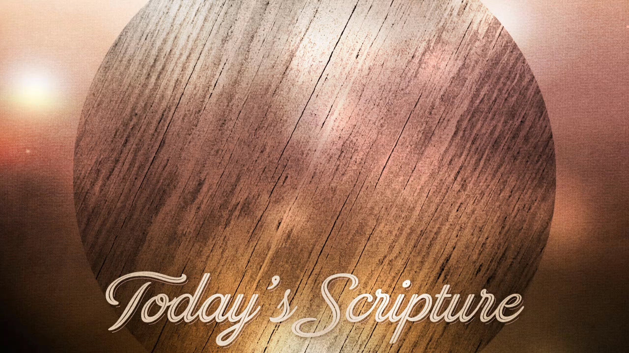 Woodgrain Scripture Still