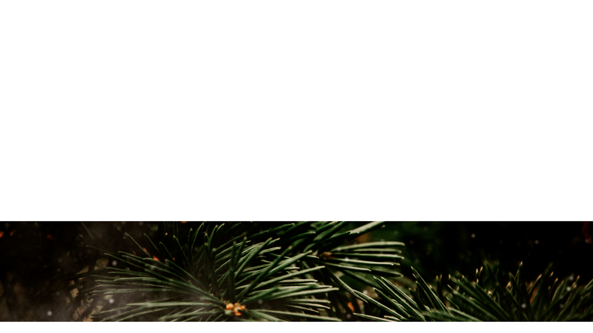 Evergreen Lower Third 5