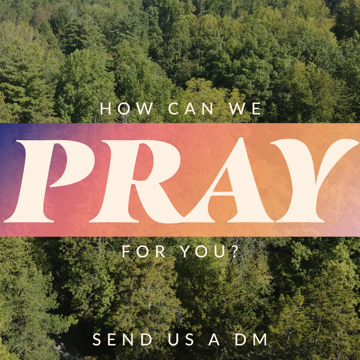 The Forest Grow in Grace Pray