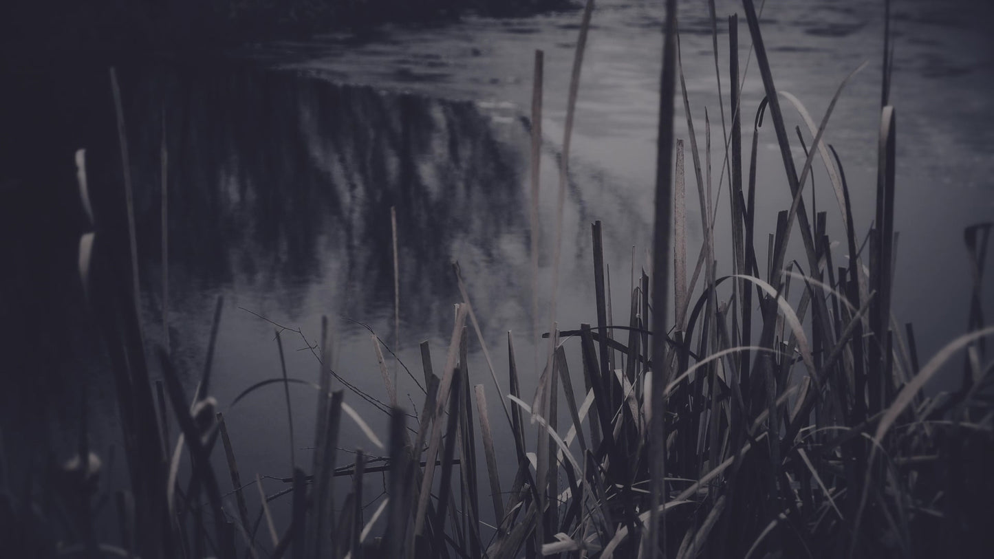 Bleak Beauty Water Edge