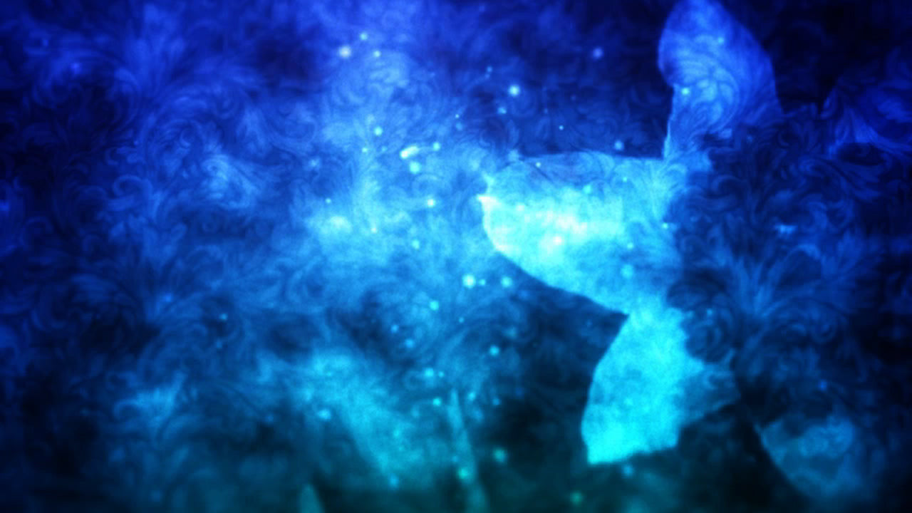 Floral Fusion 3 Still