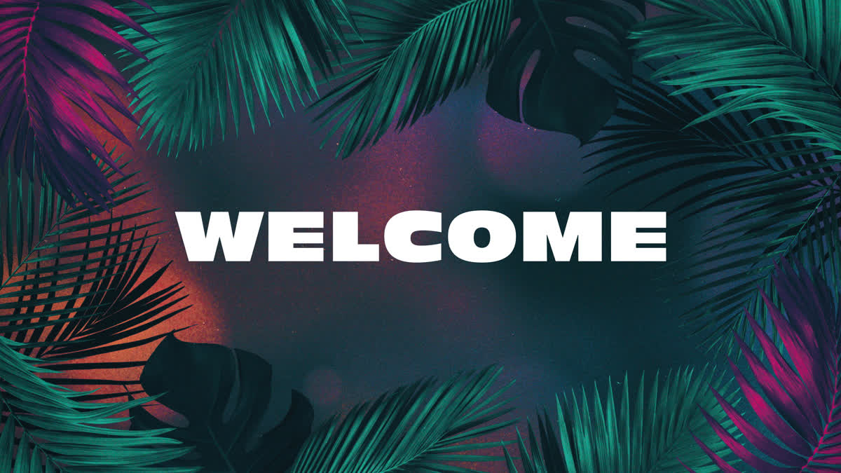 Vibrant Palms Welcome