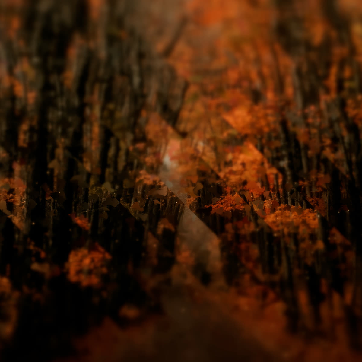 Autumns End Pray Blank