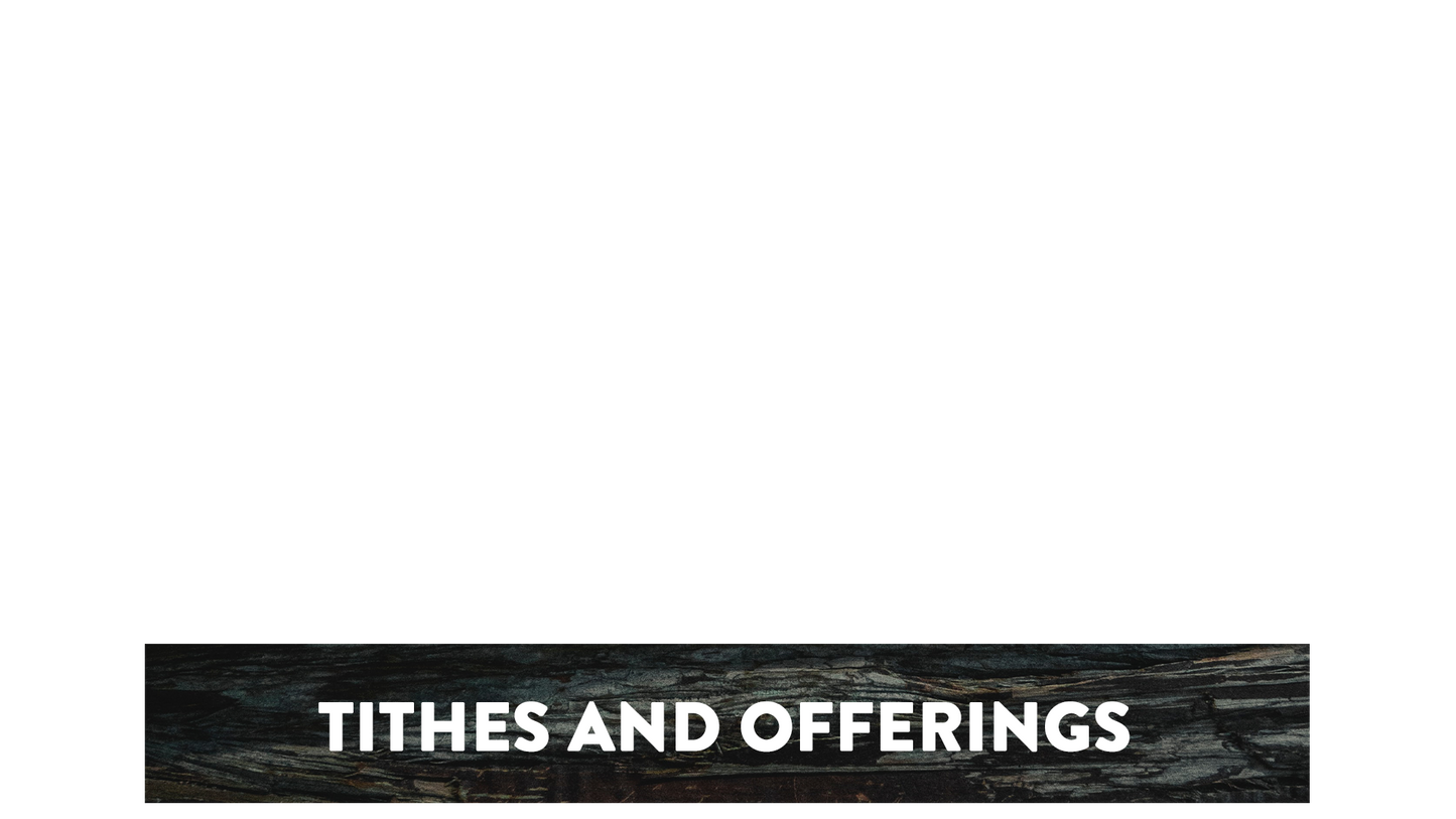 Winter Woods Lower Third Tithes Offering
