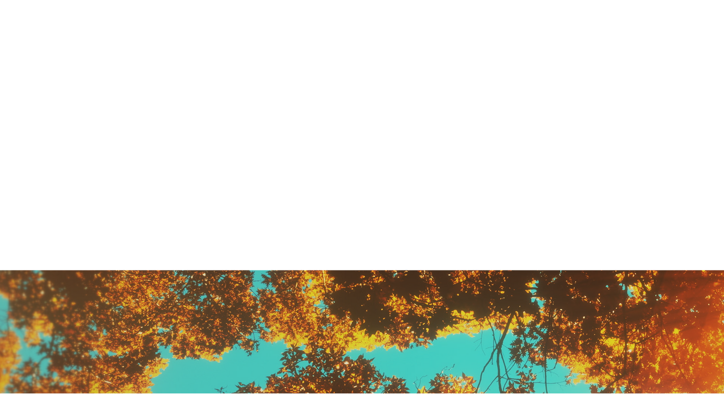 Autumn Canopies Lower Third 7