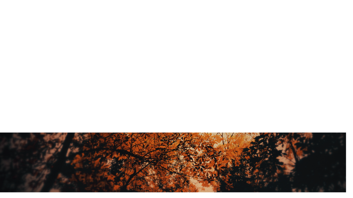 Autumn Fire Lower Third 1