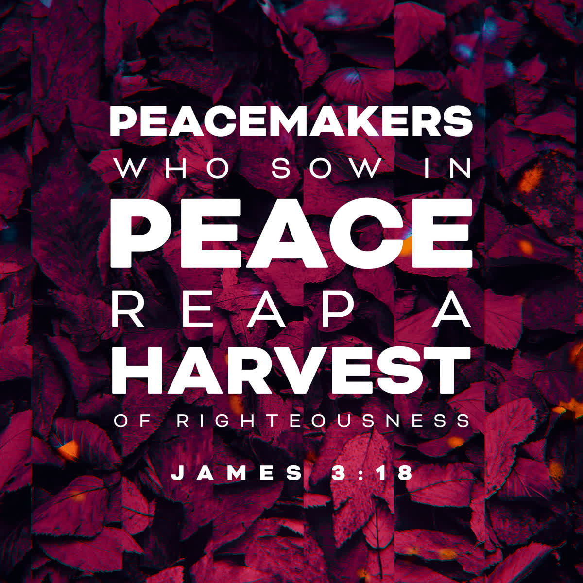 Autumn Memories Scripture