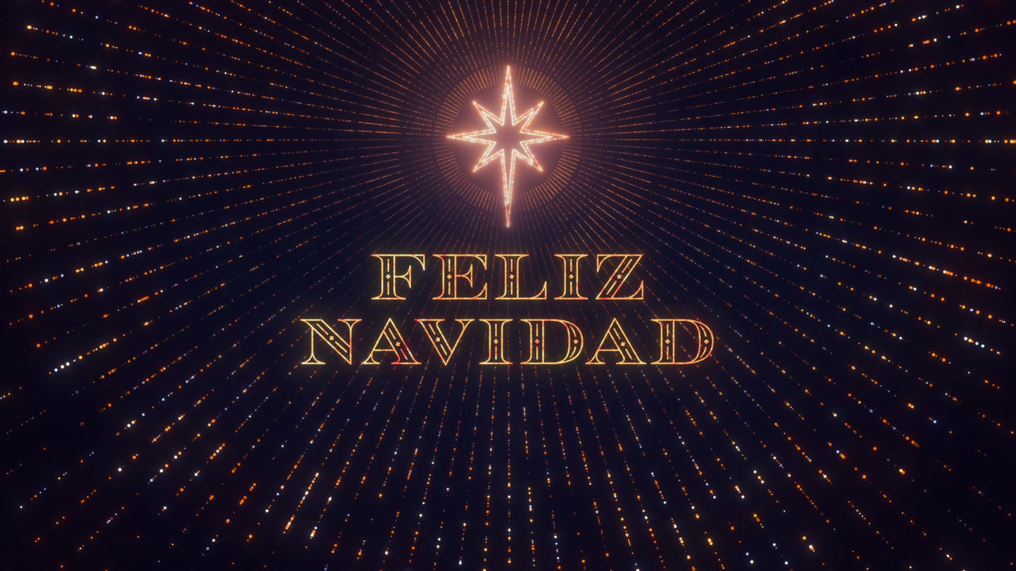 Holy Night Feliz Navidad