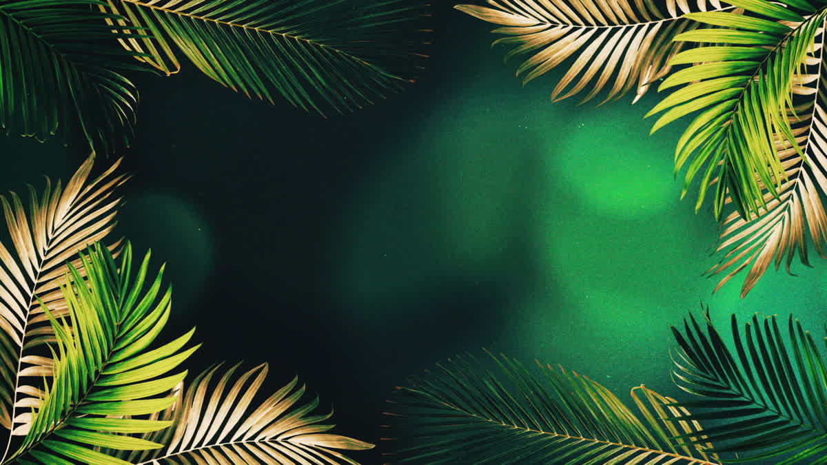 Vibrant Palms 7