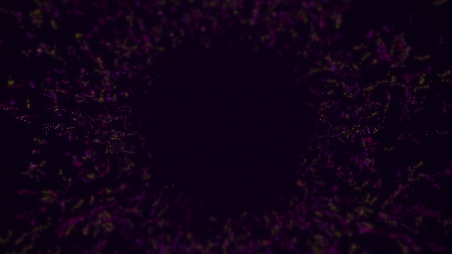 Swarm Iris