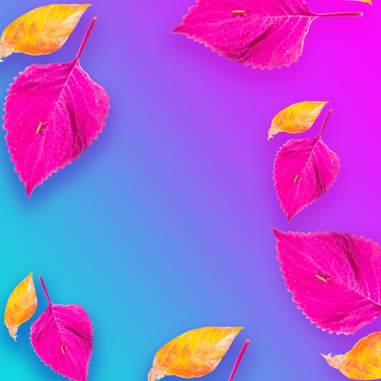 Thanks for Everything Mom