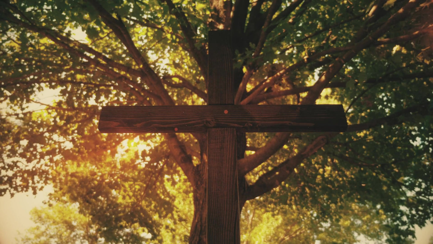Nature Cross 10