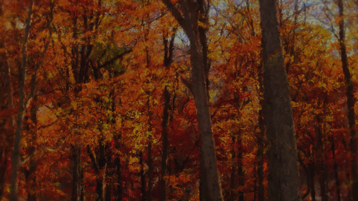 Autumn Vibes 7 Alt