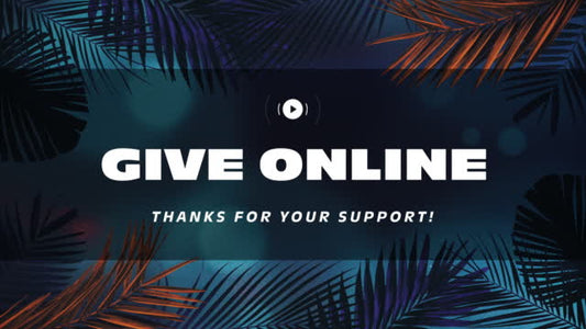 Vibrant Palms Give Stream