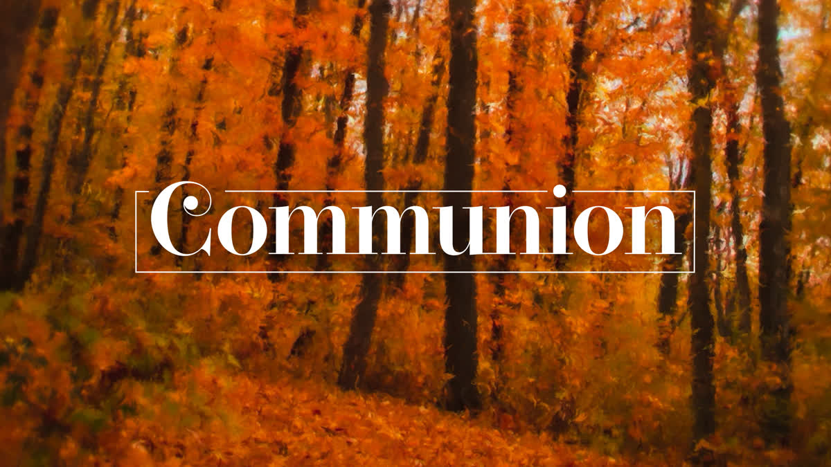 Autumn Vibes Communion