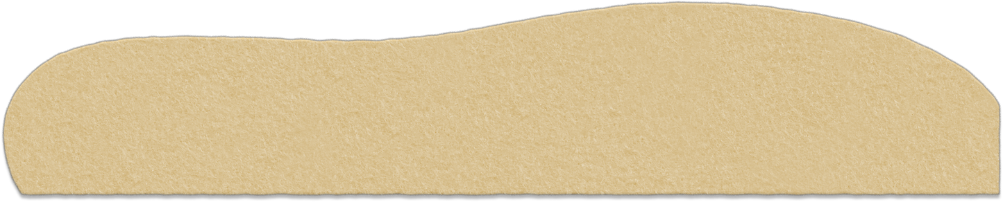 Palm Sunday Flannelgraph Back Hill